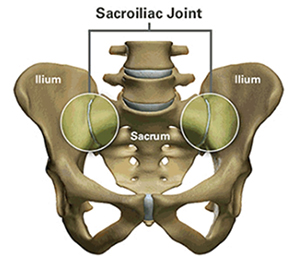 Sacroiliac Joint